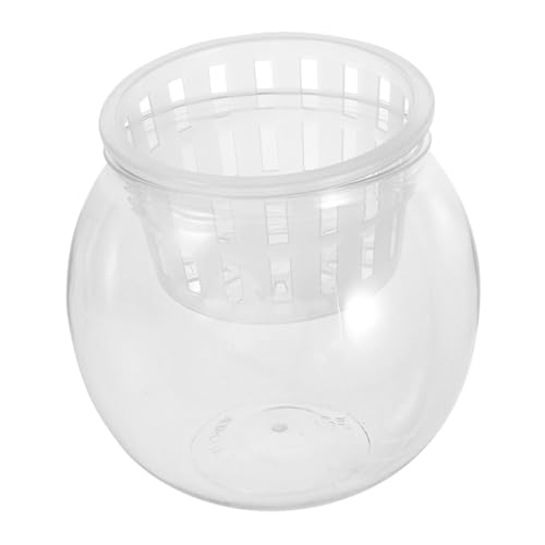 BEBEMOKO Transparentes Fischglas für Wasserpflanzen und Fische, vielseitiges Desktop-Aquarium mit Hydrokultursystem, Mikro-Landschaftsdekoration für Zuhause und Büro von BEBEMOKO