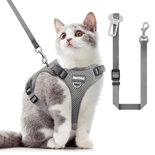 Katzengeschirr und Leine zum Spazierengehen, ausbruchsicher, verstellbare, weiche Katzenweste mit reflektierendem Streifen, komfortable Outdoor-Weste, Katzenleine für das Auto, grau, Größe XS Katzengeschirr und Leine zum Spazierengehen, ausbruchsicher, verstellbare, weiche Katzenweste mit reflektierendem Streifen, komfortable Outdoor-Weste, Katzenleine für das Auto, grau, Größe XS von BECHTEL