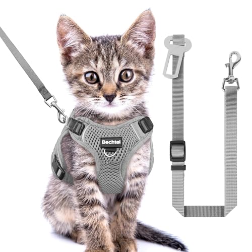 Katzengeschirr und Leine zum Spazierengehen, ausbruchsicher, verstellbare, weiche Katzenweste mit reflektierendem Streifen, komfortable Outdoor-Weste, Katzenleine für das Auto, grau, Größe XXS Katzengeschirr und Leine zum Spazierengehen, ausbruchsicher, verstellbare, weiche Katzenweste mit reflektierendem Streifen, komfortable Outdoor-Weste, Katzenleine für das Auto, grau, Größe XXS von BECHTEL