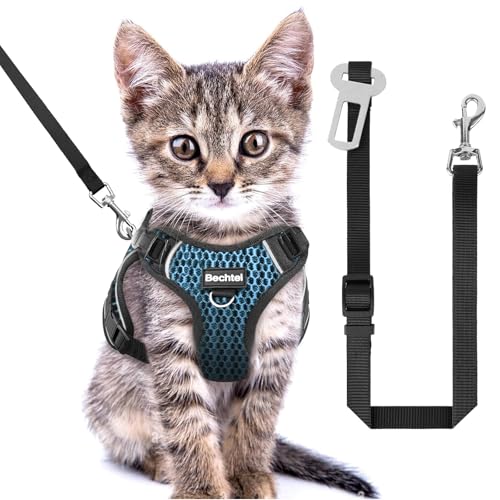 Katzengeschirr und Leine zum Spazierengehen, ausbruchsicher, weich, verstellbar, atmungsaktiv, Wabenstruktur, bequeme Weste, einfach zu tragen, Kätzchengeschirr für Outdoor-Reisen, Wabenblau, Größe Katzengeschirr und Leine zum Spazierengehen, ausbruchsicher, weich, verstellbar, atmungsaktiv, Wabenstruktur, bequeme Weste, einfach zu tragen, Kätzchengeschirr für Outdoor-Reisen, Wabenblau, Größe von BECHTEL