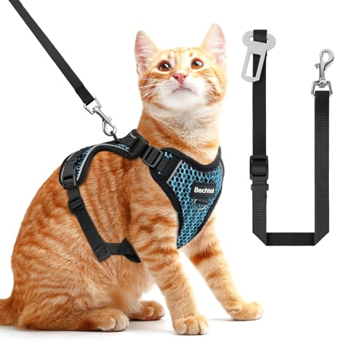 Katzengeschirr und Leine zum Spazierengehen, ausbruchsicher, weich, verstellbar, atmungsaktiv, Wabenstruktur, bequeme Weste, einfach zu tragen, Kätzchengeschirr für Outdoor-Reisen, Wabenblau, Größe S Katzengeschirr und Leine zum Spazierengehen, ausbruchsicher, weich, verstellbar, atmungsaktiv, Wabenstruktur, bequeme Weste, einfach zu tragen, Kätzchengeschirr für Outdoor-Reisen, Wabenblau, Größe S von BECHTEL