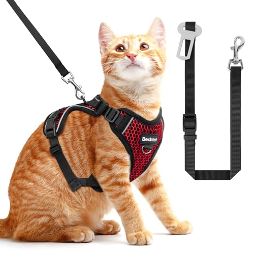 Katzengeschirr und Leine zum Spazierengehen, ausbruchsicher, weich, verstellbar, atmungsaktiv, Wabenstruktur, bequeme Weste, einfach zu tragen, Kätzchengeschirr für Outdoor-Reisen, Wabenrot, Größe S Katzengeschirr und Leine zum Spazierengehen, ausbruchsicher, weich, verstellbar, atmungsaktiv, Wabenstruktur, bequeme Weste, einfach zu tragen, Kätzchengeschirr für Outdoor-Reisen, Wabenrot, Größe S von BECHTEL