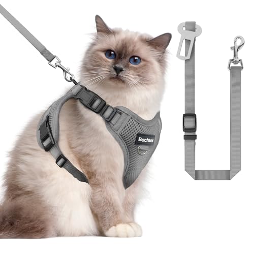 Katzengeschirr und Leine zum Spazierengehen, auslaufsicher, verstellbare weiche Weste für Kätzchen mit reflektierenden Streifen für Katzen, bequeme Outdoor-Weste, Autoleine Katzengeschirr und Leine zum Spazierengehen, auslaufsicher, verstellbare weiche Weste für Kätzchen mit reflektierenden Streifen für Katzen, bequeme Outdoor-Weste, Autoleine von BECHTEL