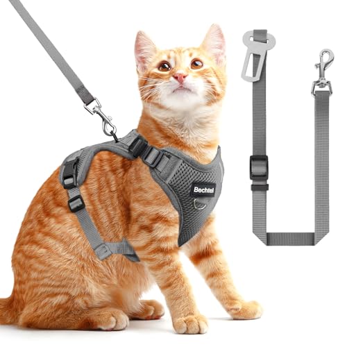 Katzengeschirr und Leine zum Spazierengehen, auslaufsicher, weiche verstellbare Weste für Kätzchen mit reflektierenden Streifen für Katzen, bequeme Outdoor-Weste, Auto-Linie Katzengeschirr und Leine zum Spazierengehen, auslaufsicher, weiche verstellbare Weste für Kätzchen mit reflektierenden Streifen für Katzen, bequeme Outdoor-Weste, Auto-Linie von BECHTEL
