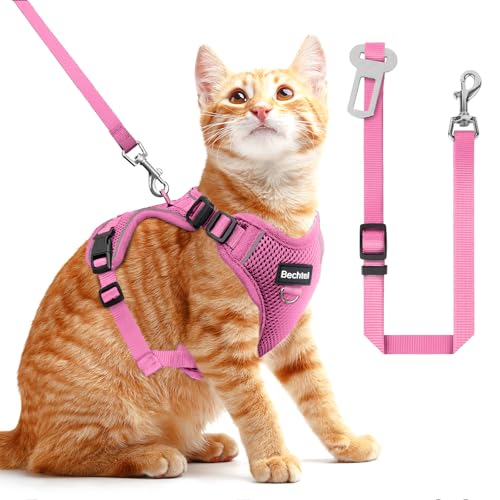 Katzengeschirr und Leine zum Spazierengehen, das Upgrade kann in vier Richtungen eingestellt werden und atmungsaktives Katzengeschirr gegen Flucht, das angepasst und positioniert werden kann, Katzengeschirr und Leine zum Spazierengehen, das Upgrade kann in vier Richtungen eingestellt werden und atmungsaktives Katzengeschirr gegen Flucht, das angepasst und positioniert werden kann, von BECHTEL