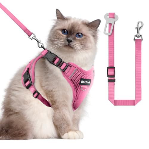 Katzengeschirr und Leine zum Spazierengehen, das Upgrade kann in vier Richtungen eingestellt werden und atmungsaktives Katzengeschirr gegen Flucht, das angepasst und positioniert werden kann, Katzengeschirr und Leine zum Spazierengehen, das Upgrade kann in vier Richtungen eingestellt werden und atmungsaktives Katzengeschirr gegen Flucht, das angepasst und positioniert werden kann, von BECHTEL