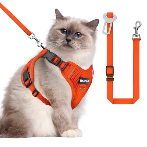 Katzengeschirr und Leine zum Spazierengehen, das Upgrade kann in vier Richtungen eingestellt werden und atmungsaktives Katzengeschirr gegen Flucht, das angepasst und positioniert werden kann von BECHTEL