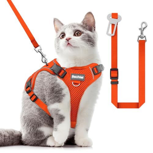 Katzengeschirr und Leine zum Spazierengehen, das Upgrade kann in vier Richtungen eingestellt werden und atmungsaktives Katzengeschirr gegen Flucht, das angepasst und positioniert werden kann Katzengeschirr und Leine zum Spazierengehen, das Upgrade kann in vier Richtungen eingestellt werden und atmungsaktives Katzengeschirr gegen Flucht, das angepasst und positioniert werden kann von BECHTEL