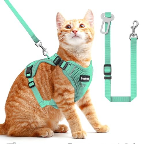 Katzengeschirr und Leine zum Spazierengehen, in vier Richtungen verstellbar und atmungsaktiv, ausbruchsicher, anpassbar, reflektierende Streifen, grün, Größe S Katzengeschirr und Leine zum Spazierengehen, in vier Richtungen verstellbar und atmungsaktiv, ausbruchsicher, anpassbar, reflektierende Streifen, grün, Größe S von BECHTEL