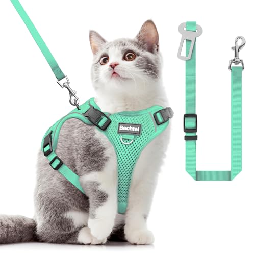 Katzengeschirr und Leine zum Spazierengehen, in vier Richtungen verstellbar und atmungsaktiv, ausbruchsicher, anpassbar, reflektierende Streifen, grün, Größe XS Katzengeschirr und Leine zum Spazierengehen, in vier Richtungen verstellbar und atmungsaktiv, ausbruchsicher, anpassbar, reflektierende Streifen, grün, Größe XS von BECHTEL