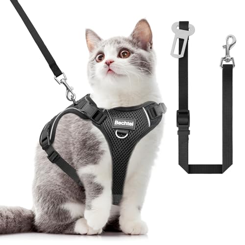 Katzengeschirr und Leine zum Spazierengehen, in vier Richtungen verstellbar und atmungsaktiv, ausbruchsicher, anpassbar, reflektierende Streifen, schwarz, Größe XS Katzengeschirr und Leine zum Spazierengehen, in vier Richtungen verstellbar und atmungsaktiv, ausbruchsicher, anpassbar, reflektierende Streifen, schwarz, Größe XS von BECHTEL