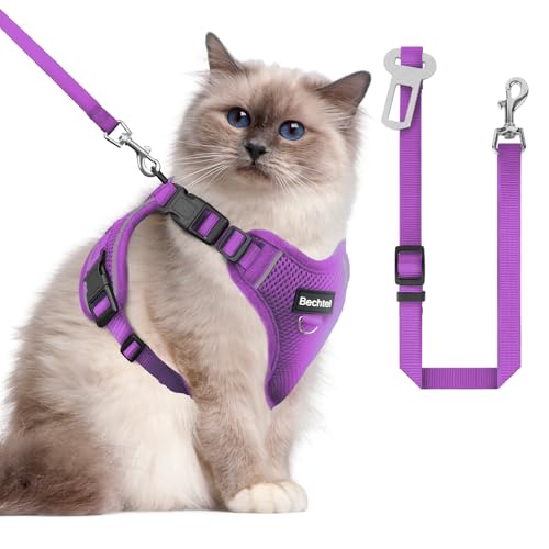 Katzengeschirr und Leine zum Spazierengehen, in vier Richtungen verstellbar und atmungsaktiv, ausbruchsicher, anpassbar, reflektierende Streifen, violett, Größe M von BECHTEL
