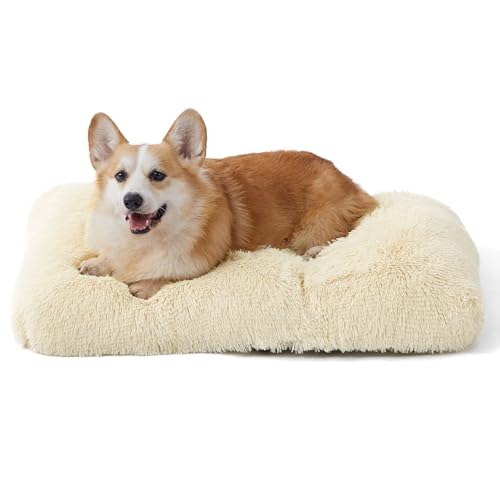 BEDSURE Flauschiges Hundebett Grosse Hunde - 74x53x8 cm Hundebett waschbar für große Hunde, rutschfeste Unterseite, plüsch Hundekissen Grosse Hunde, Beige BEDSURE Flauschiges Hundebett Grosse Hunde - 74x53x8 cm Hundebett waschbar für große Hunde, rutschfeste Unterseite, plüsch Hundekissen Grosse Hunde, Beige von BEDSURE