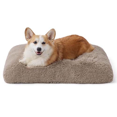 BEDSURE Flauschiges Hundebett Grosse Hunde - 74x53x8 cm Hundebett waschbar für große Hunde, rutschfeste Unterseite, plüsch Hundekissen Grosse Hunde, Kamel BEDSURE Flauschiges Hundebett Grosse Hunde - 74x53x8 cm Hundebett waschbar für große Hunde, rutschfeste Unterseite, plüsch Hundekissen Grosse Hunde, Kamel von BEDSURE