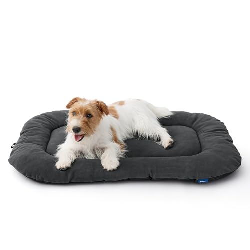 BEDSURE Hundebett Mittelgroße Kleine Hunde - 74x46 cm, Hundekissen Waschbar für Kleine Mittelgroße Hunde, Dog Bed Superweich Hundematte mit Rutschfester Unterseite,Dunkelgrau von BEDSURE