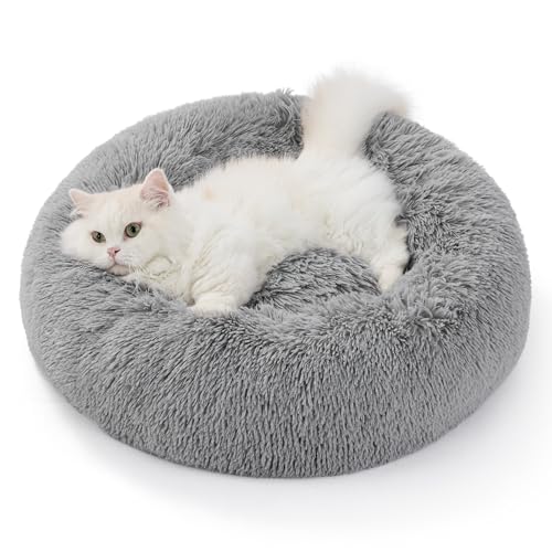 BEDSURE Hundebett waschbar Flauschiges Katzenbett - Ø 50 cm Donut Kissen, Katzenschlafplatz für Katzen Kleine Mittelgroße Hunde, Plüsch Katzenkissen Rund Kuschelbett, Hellgrau BEDSURE Hundebett waschbar Flauschiges Katzenbett - Ø 50 cm Donut Kissen, Katzenschlafplatz für Katzen Kleine Mittelgroße Hunde, Plüsch Katzenkissen Rund Kuschelbett, Hellgrau von BEDSURE