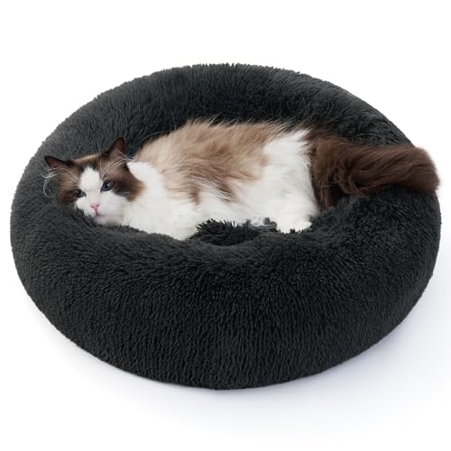 BEDSURE Hundebett waschbar Flauschiges Katzenbett - Ø 50 cm Donut Kissen, Katzenschlafplatz für Katzen Kleine Mittelgroße Hunde, Plüsch Katzenkissen Rund Kuschelbett Katzen Bettchen, Dunkelgrau BEDSURE Hundebett waschbar Flauschiges Katzenbett - Ø 50 cm Donut Kissen, Katzenschlafplatz für Katzen Kleine Mittelgroße Hunde, Plüsch Katzenkissen Rund Kuschelbett Katzen Bettchen, Dunkelgrau von BEDSURE