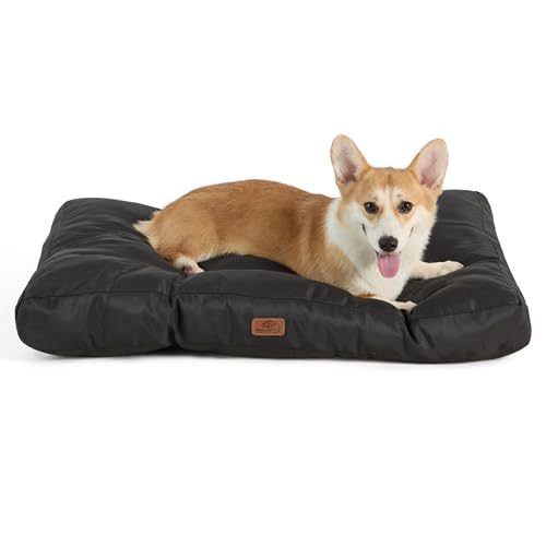 BEDSURE Hundekissen kleine Hunde waschbar - 76x50cm Hundebett wasserdicht M für kleine, mittelgroße Hunde gepolstert Hundematte tiefschwarz in 10cm Höhe BEDSURE Hundekissen kleine Hunde waschbar - 76x50cm Hundebett wasserdicht M für kleine, mittelgroße Hunde gepolstert Hundematte tiefschwarz in 10cm Höhe von BEDSURE
