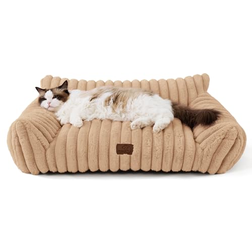 BEDSURE Katzenbett groß orthopädisches Hundesofa-76x51x25cm Hundebett kleine Hunde waschbar Katzensofa große Katzen rutschfeste Katzencouch, Kamel BEDSURE Katzenbett groß orthopädisches Hundesofa-76x51x25cm Hundebett kleine Hunde waschbar Katzensofa große Katzen rutschfeste Katzencouch, Kamel von BEDSURE