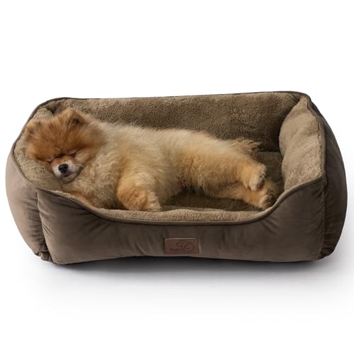 BEDSURE Katzenbett große Katzen waschbar - 63.5x53cm rutschfestes Hundebett kleine Hunde, quadratisches Katzenkorb mit weichem Rand, braun BEDSURE Katzenbett große Katzen waschbar - 63.5x53cm rutschfestes Hundebett kleine Hunde, quadratisches Katzenkorb mit weichem Rand, braun von BEDSURE