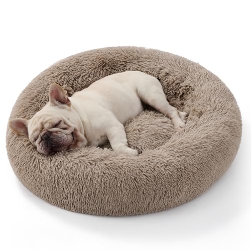 BEDSURE Katzenbett waschbar Flauschiges Hundebett - Ø 70 cm Katzenschlafplatz für Katzen und Hunde, plüsch Katzenkissen rund Kuschelbett, Kamel BEDSURE Katzenbett waschbar Flauschiges Hundebett - Ø 70 cm Katzenschlafplatz für Katzen und Hunde, plüsch Katzenkissen rund Kuschelbett, Kamel von BEDSURE