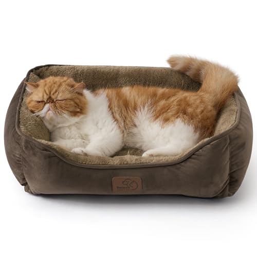 BEDSURE Katzenbett waschbar Katzen Bettchen - 51x41cm Katzenkorb Indoor mit Rutschfester Basis, quadratisches Hundebett für kleine Hunde mit weichem Rand, braun BEDSURE Katzenbett waschbar Katzen Bettchen - 51x41cm Katzenkorb Indoor mit Rutschfester Basis, quadratisches Hundebett für kleine Hunde mit weichem Rand, braun von BEDSURE