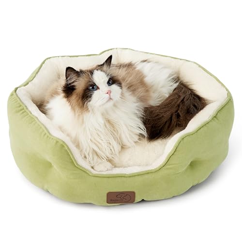 BEDSURE Katzenbett waschbar Katzen Bettchen - 51x48x15cm Katzen Bett mit Zweiseitig Innenkissen Katzenschlafplatz für Katzen oder kleine Hunde,Hellgrün BEDSURE Katzenbett waschbar Katzen Bettchen - 51x48x15cm Katzen Bett mit Zweiseitig Innenkissen Katzenschlafplatz für Katzen oder kleine Hunde,Hellgrün von BEDSURE