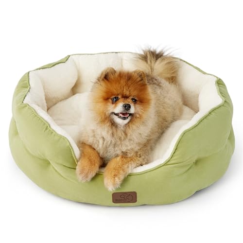 BEDSURE Katzenbett waschbar Katzen Bettchen - 63x53x20cm Katzen Bett mit Zweiseitig Innenkissen Katzenschlafplatz für Katzen oder kleine Hunde,Hellgrün BEDSURE Katzenbett waschbar Katzen Bettchen - 63x53x20cm Katzen Bett mit Zweiseitig Innenkissen Katzenschlafplatz für Katzen oder kleine Hunde,Hellgrün von BEDSURE