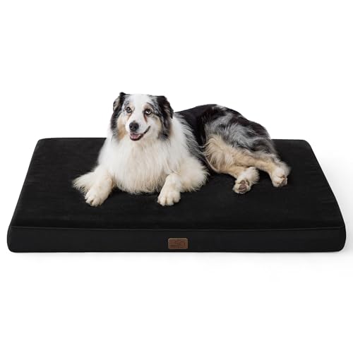 BEDSURE orthopädisches Hundekissen große Hunde - 104x74x9cm waschbares Hundebett mit 2 in 1 Memoryschaum, kuscheliges Hundematte Hundematratze, Schwarz BEDSURE orthopädisches Hundekissen große Hunde - 104x74x9cm waschbares Hundebett mit 2 in 1 Memoryschaum, kuscheliges Hundematte Hundematratze, Schwarz von BEDSURE
