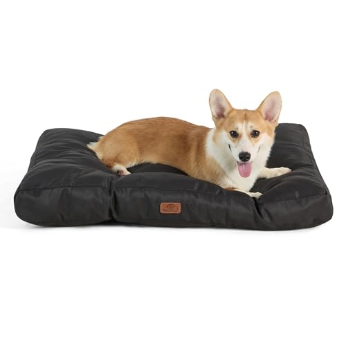 BEDSURE Hundekissen kleine Hunde waschbar - 76x50cm Hundebett wasserdicht M für kleine, mittelgroße Hunde gepolstert Hundematte tiefschwarz in 10cm Höhe BEDSURE Hundekissen kleine Hunde waschbar - 76x50cm Hundebett wasserdicht M für kleine, mittelgroße Hunde gepolstert Hundematte tiefschwarz in 10cm Höhe von BEDSURE