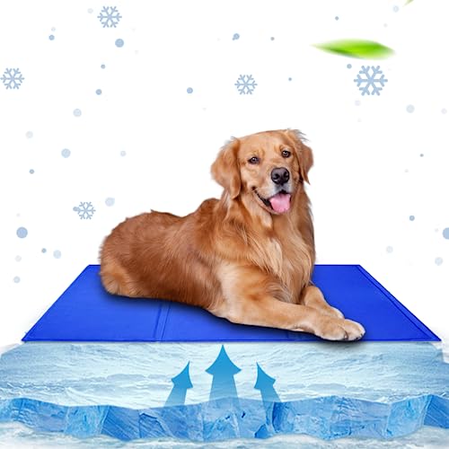 BEE&FLOWER Kühlmatte für Hunde 90x50 cm, ungiftige Gel-Haustier-Kühlmatte für Hunde und Katzen, langlebige, wasserdichte Hunde-Kühlmatten, mittelgroße Haustiere, Sommer Schlafen BEE&FLOWER Kühlmatte für Hunde 90x50 cm, ungiftige Gel-Haustier-Kühlmatte für Hunde und Katzen, langlebige, wasserdichte Hunde-Kühlmatten, mittelgroße Haustiere, Sommer Schlafen von BEE&FLOWER