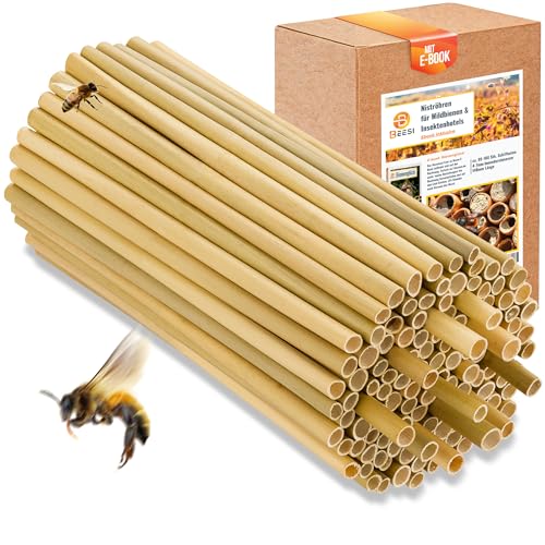 BEESI 500x Bambusgras für Insektenhotel I 14 cm Länge I 3-7mm ⌀ I Füllmaterial Bienenhotel, Wildbienen Nistmaterial BEESI 500x Bambusgras für Insektenhotel I 14 cm Länge I 3-7mm ⌀ I Füllmaterial Bienenhotel, Wildbienen Nistmaterial von BEESI