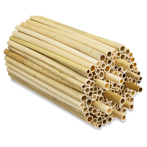 BEESI 500x Niströhren für Wildbienen aus Schilf 14 cm lang I Durchmesser 3-7 mm inkl. E-Book I Nisthülsen für Insektenhotel I Bienenhotel Röhrchen I Insektenhotel Füllmaterial von BEESI