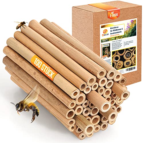 BEESI Bambusröhrchen für Insektenhotel I 14 cm Länge I Bambus für Bienenhotel I Füllmaterial Wildbienen Zubehör (100x BEESI Bambus) von BEESI