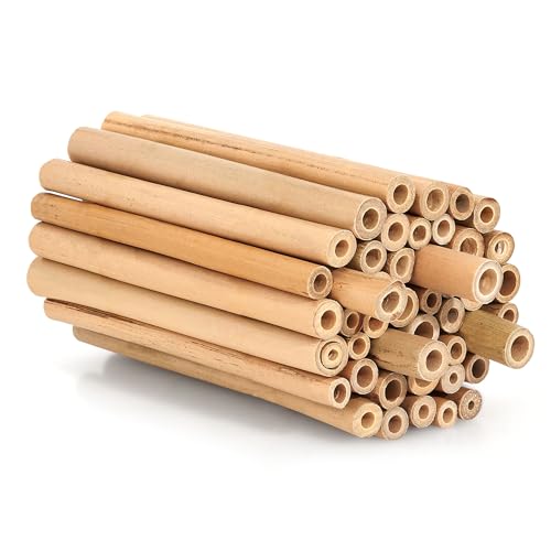 Beesi Bambusröhrchen für Insektenhotel 100 Stück 10cm Länge I Insektenhaus für Wildbienen I Wildbienenhotel Nisthülsen Bienenhotel I Füllmaterial Bienenkasten Insektenkasten (200 Stück, 10 cm Länge) von BEESI