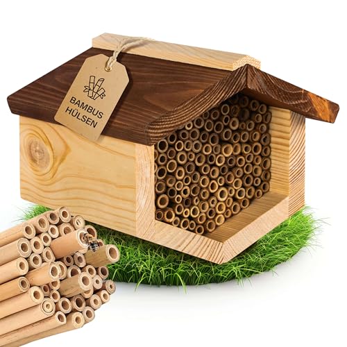 Beesi Insektenhotel mit wetterfestem Dach I Bienenhotel mit Nisthülsen aus Bambus I Verschiedene Durchmesser I hochwertiges Insektenhaus I ohne Splitter I artgerechtes Wildbienenhotel Beesi Insektenhotel mit wetterfestem Dach I Bienenhotel mit Nisthülsen aus Bambus I Verschiedene Durchmesser I hochwertiges Insektenhaus I ohne Splitter I artgerechtes Wildbienenhotel von BEESI