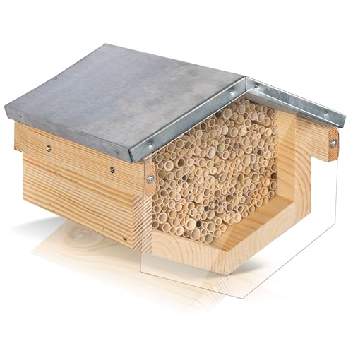 Beesi Wildbienenhotel mit Vogelschutz I Dach wetterfest I Nisthülsen aus Bambus I hochwertiges Insektenhotel I ohne Splitter mit Acrylgrlas Vogelschutz (Schilf - Für kleinere Bienen, Brown) von BEESI