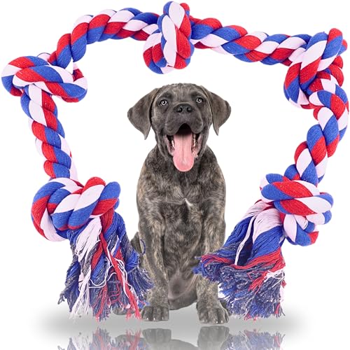BEGA PET Hundespielzeug für aggressive Kauer, mittelgroße und große Hunderassen, robustes Seil, Kauspielzeug, robuste Seile für Hunde, 5 Knoten, unzerstörbar, Welpen, Zahnen, Kauen, Tauziehen, BEGA PET Hundespielzeug für aggressive Kauer, mittelgroße und große Hunderassen, robustes Seil, Kauspielzeug, robuste Seile für Hunde, 5 Knoten, unzerstörbar, Welpen, Zahnen, Kauen, Tauziehen, von BEGA PET