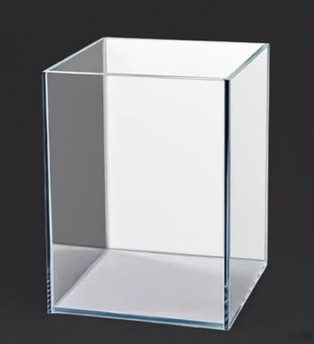 Randloses Aquarium Fischtank (20×22×28 cm), weißer Boden und Rückseite. von BEGONDIS