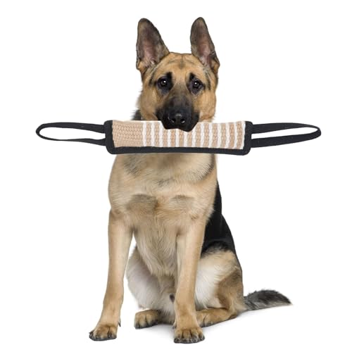 BEIJIALY Hundezerrspielzeug, Hundebisszerrspielzeug, Hundebisskissen, Hundetrainingsbisskissen mit Reflektierenden Griffen, Leinen-Ziehspielzeug, Interaktives (Reflektierender Griff, BEIJIALY Hundezerrspielzeug, Hundebisszerrspielzeug, Hundebisskissen, Hundetrainingsbisskissen mit Reflektierenden Griffen, Leinen-Ziehspielzeug, Interaktives (Reflektierender Griff, von BEIJIALY