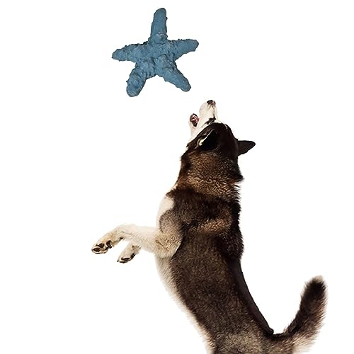 BEIJIALY Kauspielzeug für Hunde und Welpen, Kauspielzeug für Hunde, Gummi, Niedlicher Seestern-Stil, Weiche, Leuchtende Farben, Zahnfleischmassage für Welpen, Kleine Haustiere(Blau) von BEIJIALY