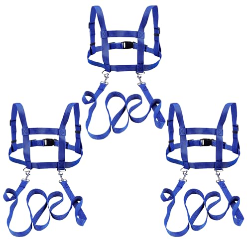 3 Stück Pferdeleine zum Spielen für Kinder Blau Pferdeleine Pferdeleine Spielzeug Pferde Longierleine Pferdegeschirr für Kinder zum Spielen Harness für Jungen und Mädchen von BEIMEIII