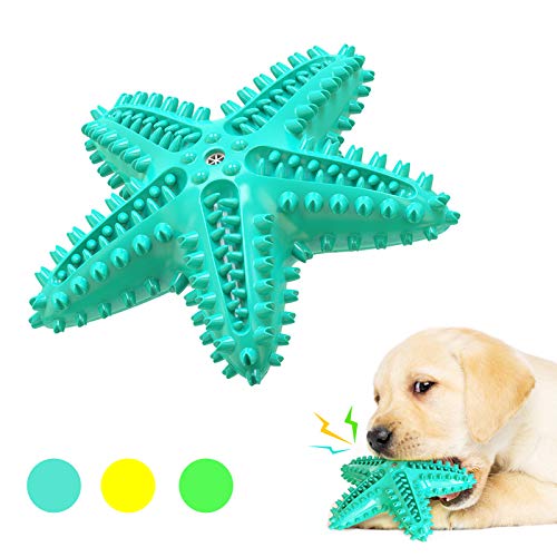 BEISIJIA Kauspielzeug für Hunde, langlebig, quietschend, Zahnreinigungsspielzeug, Zahnbürste, Zahnpflege für kleine, mittelgroße und große Hunde von BEISIJIA