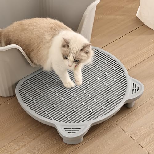 BELEEWILWON Katzentoilettenstufe, Katzenrampe mit Filterfunktion, erhöht für Alt und Kätzchen, 2 Höhen, geeignet für verschiedene Katzentoiletten (Grau) von BELEEWILWON