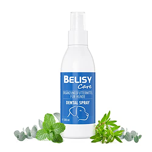 BELISY Dentalspray für Hunde - 200 ml - Zahnpflege Spray gegen Zahnstein & Mundgeruch - Zahnspray mit Minze - Zahnsteinentferner von BELISY