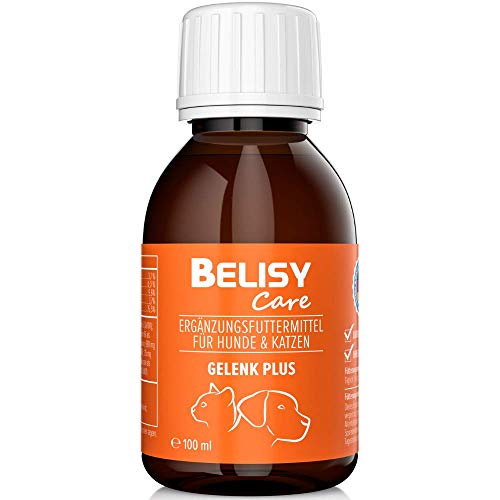 BELISY > Gelenk Plus < Gelenk Tropfen für Hunde & Katzen - 100 ml - Flüssige Nahrungsergänzung mit Teufelskralle, Glucosamin, MSM & Grünlippmuschel - Hergestellt & Laborgeprüft in Deutschland von BELISY