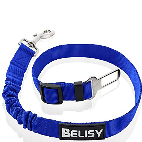 BELISY Hunde Sicherheitsgurt fürs Auto I maximale Sicherheit & Komfort I Blau von BELISY