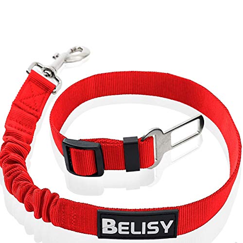 BELISY Hunde Sicherheitsgurt fürs Auto I passend für alle Hunderassen I Rot BELISY Hunde Sicherheitsgurt fürs Auto I passend für alle Hunderassen I Rot von BELISY