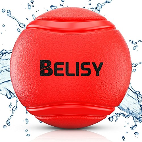 BELISY Kauball/Kauspielzeug/Gummiball I auch für Welpen geeignet I Rot von BELISY