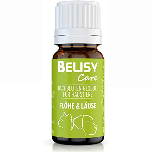 BELISY Läuse & Flöhe Bachblüten Kügelchen für Hunde & Katzen - Bei Läusen & Flöhen - Spezial Bachblütenmischung - alkoholfrei - 10 g von BELISY